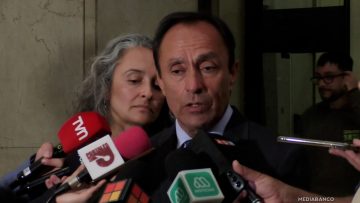 17042522 DECLARACIONES MINISTRO PIZARRO 01