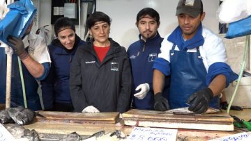 18042503 MINISTRA DE SALUD Y FISCALIZACIÓN MERCADO CENTRAL 01