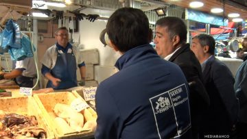 19042505 APOYO FISCALIZACIÓN MERCADO CENTRAL 01