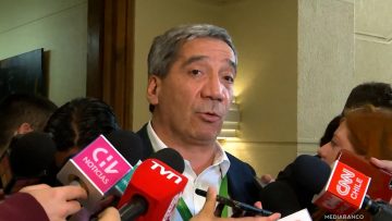 190425C07 DECLARACIONES DELEGADO GONZALO DURÁN 01