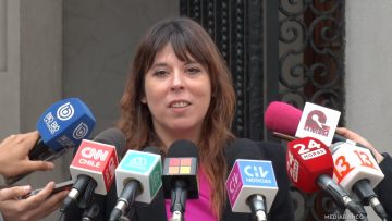 21042525 DECLARACIONES CONSTANZA MARTÍNEZ 01