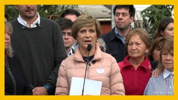 24042502 DECLARACIONES DE EVELYN MATTHEI Y DIEGO PAULSEN DEST