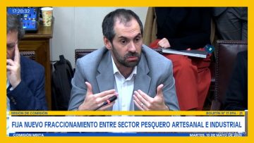 130525C01 MINISTRO DE ECONOMÍA EN COMISIÓN MIXTA DEST