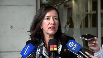 02062510 DECLARACIONES FISCAL PERIVANCICH 06