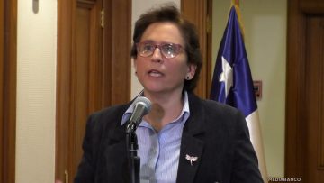 27062504 DECLARACIONES SUBSECRETARIA LEITAO 06 (1)