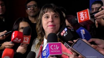 06072515 DECLARACIONES CONSTANZA MARTÍNEZ 01