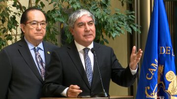 060825C10 DECLARACIONES DIPUTADOS UDI 01