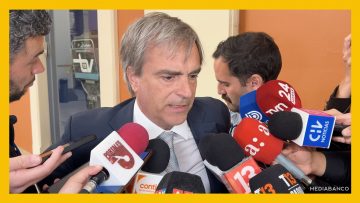 04112506 DECLARACIONES SENADOR CRUZ-COKE POR HOMICIDIO EN LA REINA DEST