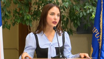 161225C10 DECLARACIONES DIPUTADA MUSANTE 01
