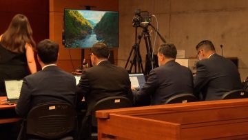23122515 APOYOS JUICIO CASO CRESPO 15 (1)