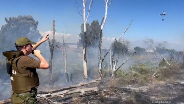 27122514 APOYO INCENDIO FORESTAL SECTOR LAGUNA CAREN 01
