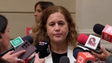 06012615 DECLARACIONES CARMEN GLORIA WITTWER 01