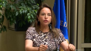 140126C13 DECLARACIONES DIPUTADA PÉREZ 01