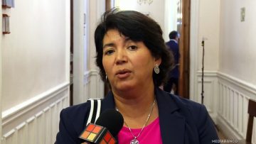 19012616 DECLARACIONES DE YASNA PROVOSTE 01