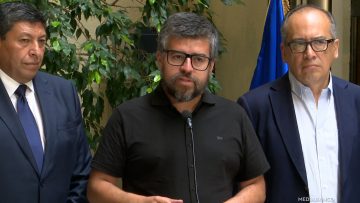 210126C06 DECLARACIONES DIPUTADOS INDEPENDIENTES 01