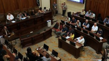 24012611 APOYO INTERIOR CONSEJO NACIONAL PPD 01