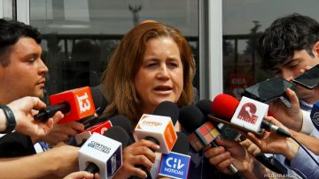26012623 DECLARACIONES FISCAL CARMEN GLORIA WITTWER 01