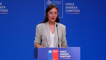 23022605 VOCERÍA GOBIERNO 01