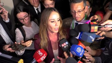 01042633 DECLARACIONES MARA SEDINI 01