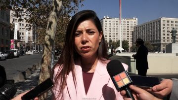 13042618 DECLARACIONES SENADORA CICARDINI 01