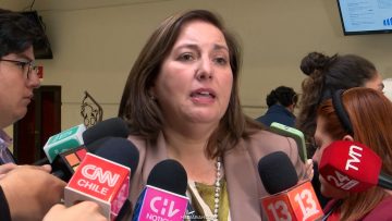 140426C16 DECLARACIONES PAULINA VODANOVIC 01