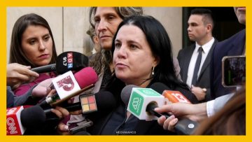 30042612 DECLARACIONES MINISTRA STEINERT DEST
