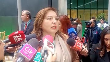 01052607 DECLARACIONES PAULINA VODANOVIC 01