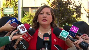 03052608 DECLARACIONES PAULINA VODANOVIC (PS) 01