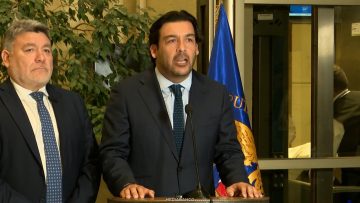 040526C12 DECLARACIONES DIPUTADOS LEAL Y VENEAS 10