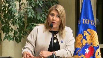 050526C13 DECLARACIONES DIPUTADA PARISI 01