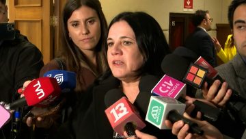 060526C15 DECLARACIONES MINISTRA STEINERT 01