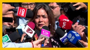 08052613 DECLARACIONES DE LA FISCAL LORENA PARRA DES