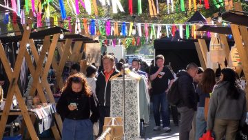 09052611 MUNICIPALIDAD PROVIDENCIA Y FERIA POR DÍA DE LA MADRE 01