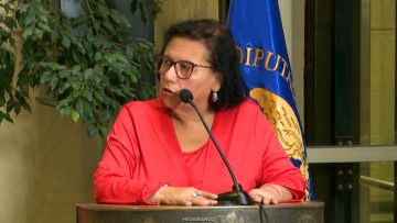 110526C03 DECLARACIONES DIPUTADA LORENA PIZARRO 05
