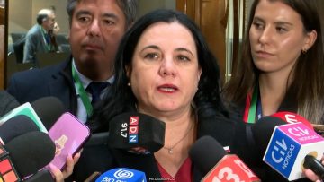 120526C08 DECLARACIONES MINISTRA STEINERT 01