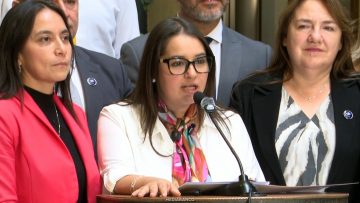 130526C10 DECLARACIONES DIPUTADA TAMARA RAMÍREZ 01 (1)