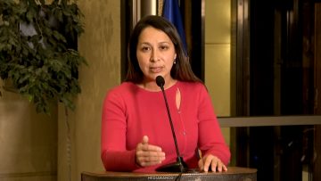 140526C08 DECLARACIONES DIPUTADA PAULINA MUÑOZ 06