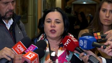 180526C16 DECLARACIONES MINISTRA STEINERT 05