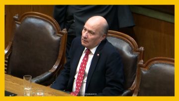 190526C17 APOYOS SESIÓN CÁMARA DE DIPUTADOS DEST