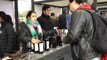 23052613 APOYO Y DECLARACIONES ÚLTIMA JORNADA VENDIMIA EN ESTADO NACIONAL 01