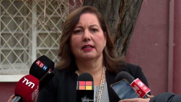 24052606 DECLARACIONES PAULINA VODANOVIC 01
