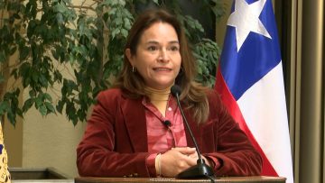 020626C07 DIPUTADA JOANNA PÉREZ POR SALIDA DE SUBSECRETARIO JOUANNET 01 (1)