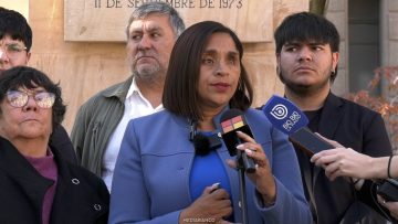 04062612 SENADORA CAMPILLAI Y AGRUPACIONES SOBRE MARCHA CONTRA INDULTOS 15
