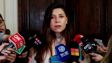 04062613 DECLARACIONES SENADORA DANIELA CICARDINI 06