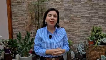 07062602 SENADORA ASTUDILLO (PS) POR ERROR EN ENTREGA DE CI A MIGRANTES 01