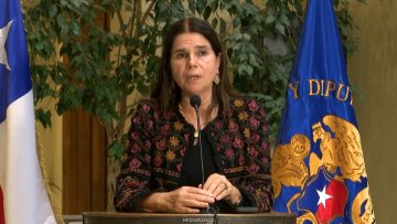 080626C06 DECLARACIONES DIPUTADA OSSANDÓN 01