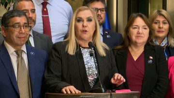 090626C10 DECLARACIONES DIPUTADOS PDG 01 (2)