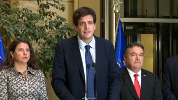 100626C01 DECLARACIONES DIPUTADOS RN 01 (1)