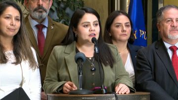 100626C04 DECLARACIONES DIPUTADOS PCC-PNL 01 (1)