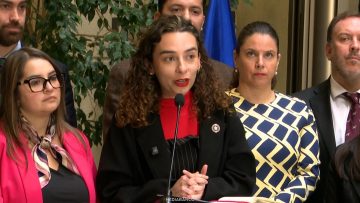 160626C12 DECLARACIONES DIPUTADA JAVIERA RODRÍGUEZ 01 (1)